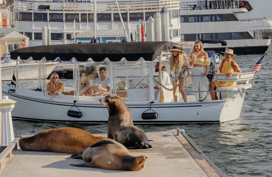 Los Angeles: Luxury Cruise with Wine, Cheese & Sea Lions - Key details of the Marina del Rey wine cruise