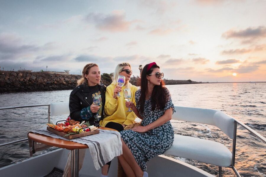 Los Angeles: Luxury Cruise with Wine, Cheese & Sea Lions - Wine and charcuterie on the water