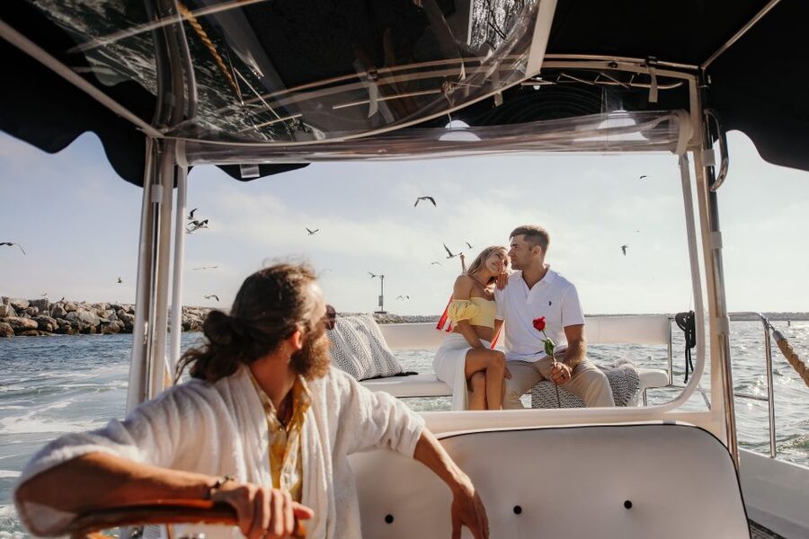 Los Angeles: Luxury Cruise with Wine, Cheese & Sea Lions - Why the private option can be worth the extra cost