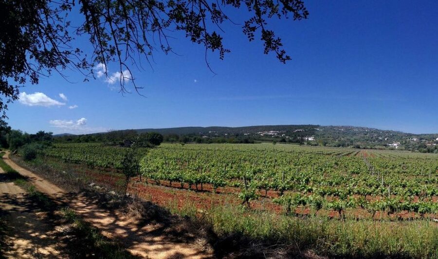 Loulé: Quinta da Tôr Winery Guided Tour and Wine Tasting - Quinta da Tôr at a glance