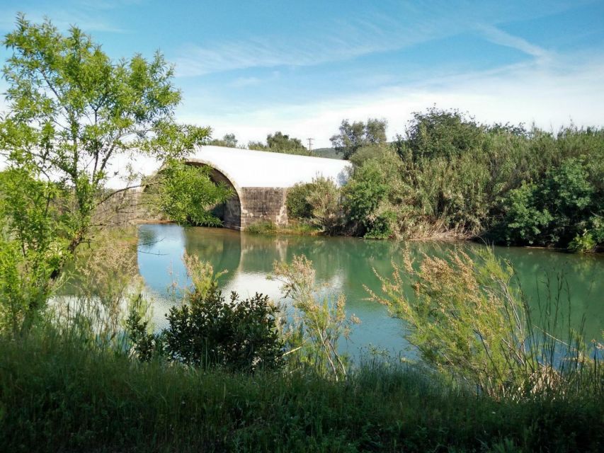 Loulé: Quinta da Tôr Winery Guided Tour and Wine Tasting - Tasting four wines at an easy pace