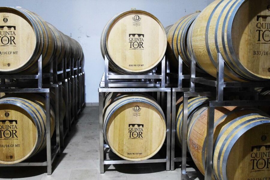 Loulé: Quinta da Tôr Winery Guided Tour and Wine Tasting - What the price really gives you