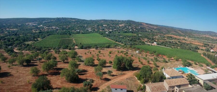 Loulé: Quinta da Tôr Winery Guided Tour and Wine Tasting - Who will enjoy Quinta da Tôr most