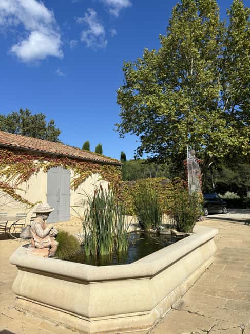 Luberon: Full-Day Wine Tour from Marseille - First winery: start with scenery and cellar knowledge