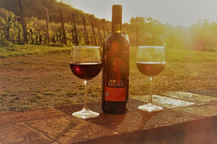 Lucca: Guided E-Bike and Wine Tour - Starting beside Lucca train station