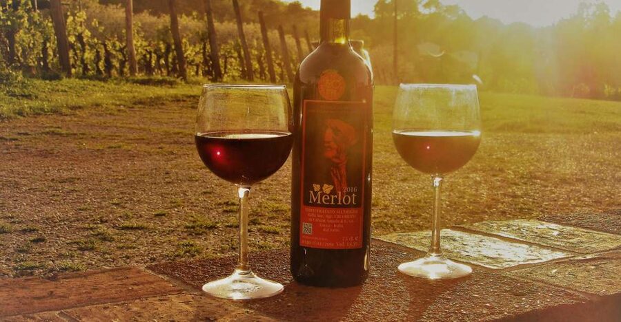 Lucca: Guided E-Bike and Wine Tour - From the walls to Tuscan farm country