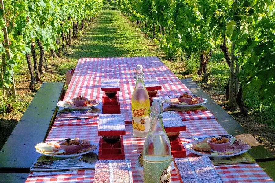 Lucca: Guided E-Bike and Wine Tour - How the price works out at $123.48