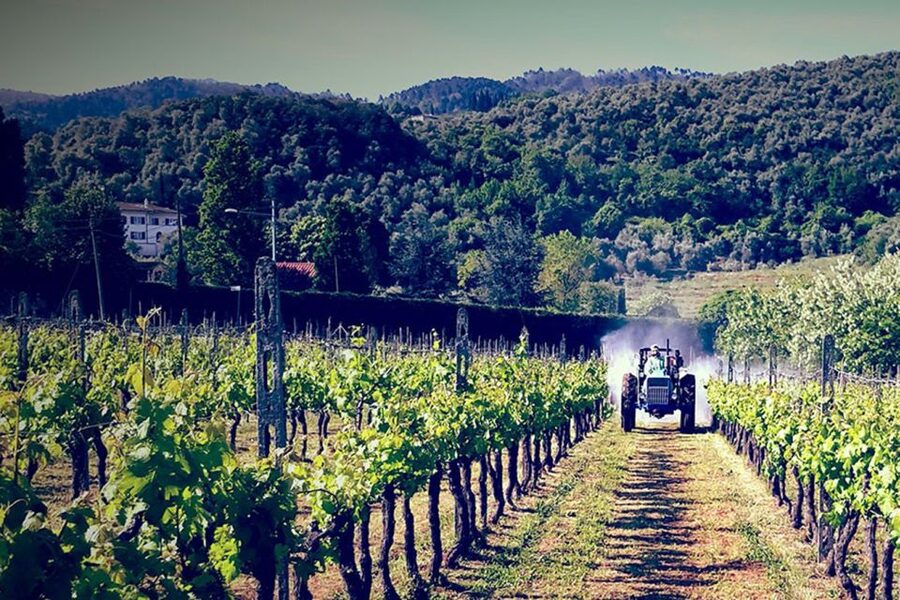 Lucca: Guided E-Bike and Wine Tour - Lucca’s walls make a fine opening ride