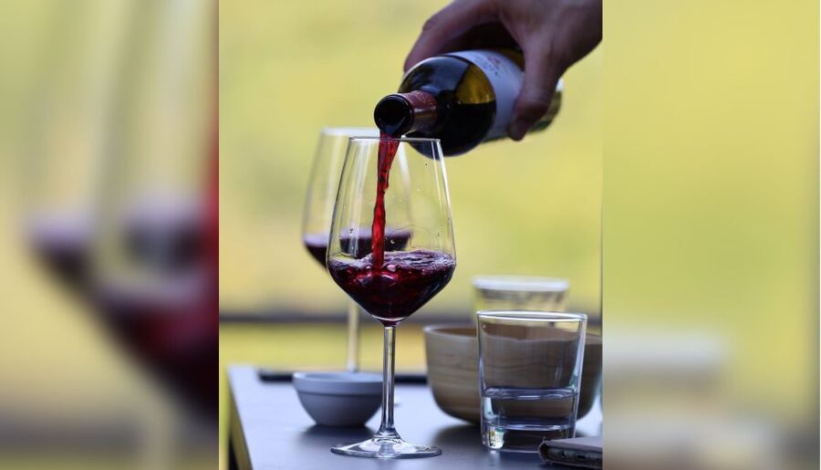 Lucca: Guided Winery Tour with Wine Tasting - Key Details Before You Go