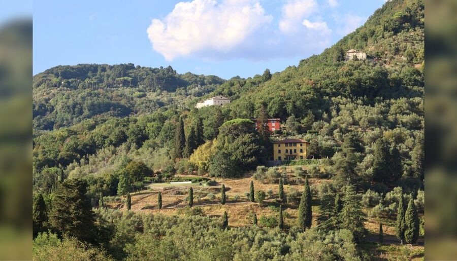 Lucca: Guided Winery Tour with Wine Tasting - FAQ