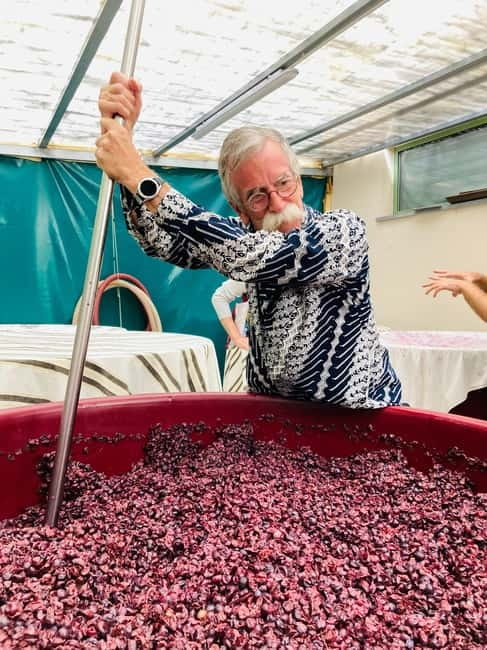 Lucca - Natural wine tasting at Tenuta Mareli - Arriving in the Lucca hills