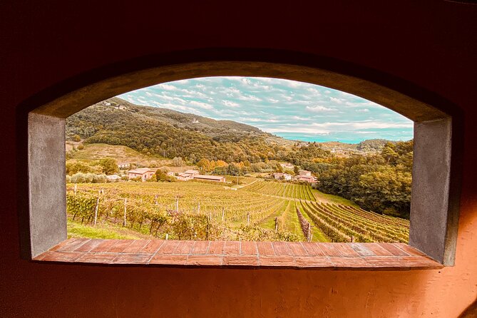 Lucca: Wine Tasting Experience - Tenuta Adamo Winery - Key points to know before you book
