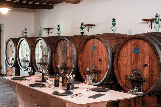 Lucca: Wine Tasting Experience - Tenuta Adamo Winery - A short look inside the cellar