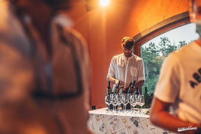 Lucca: Wine Tasting Experience - Tenuta Adamo Winery - How private is the experience?