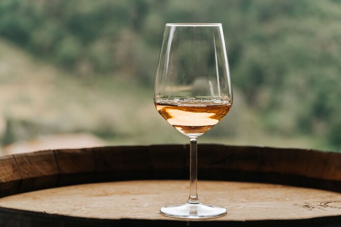 Lucca: Wine Tasting Experience - Tenuta Adamo Winery - Is $24.20 a good price?