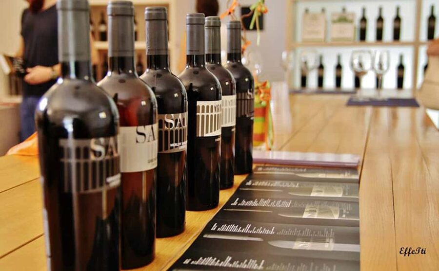 Lunch and tasting 5 wines + walk in the panoramic vineyards - Key points to know before booking