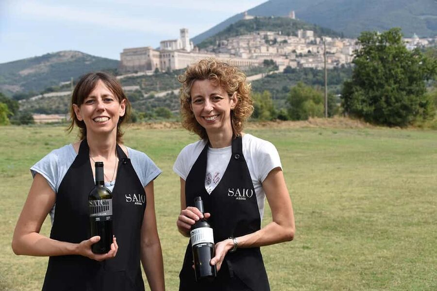 Lunch and tasting 5 wines + walk in the panoramic vineyards - What the 1.5-hour visit includes