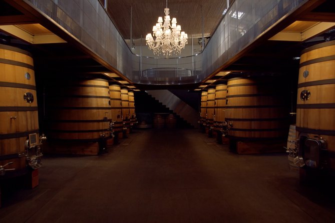 Luxurious full day Bordeaux wine tour in a Tesla - A guide can make or break the day