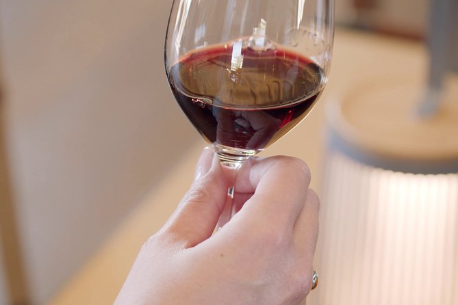 Luxurious full day Bordeaux wine tour in a Tesla - Médoc and Sauternes may be possible, but confirm first
