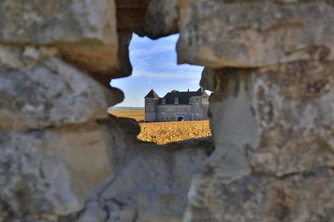 Luxury Luxury Wine Tour Experience - Starting at 9:30 a.m. in a private Mercedes