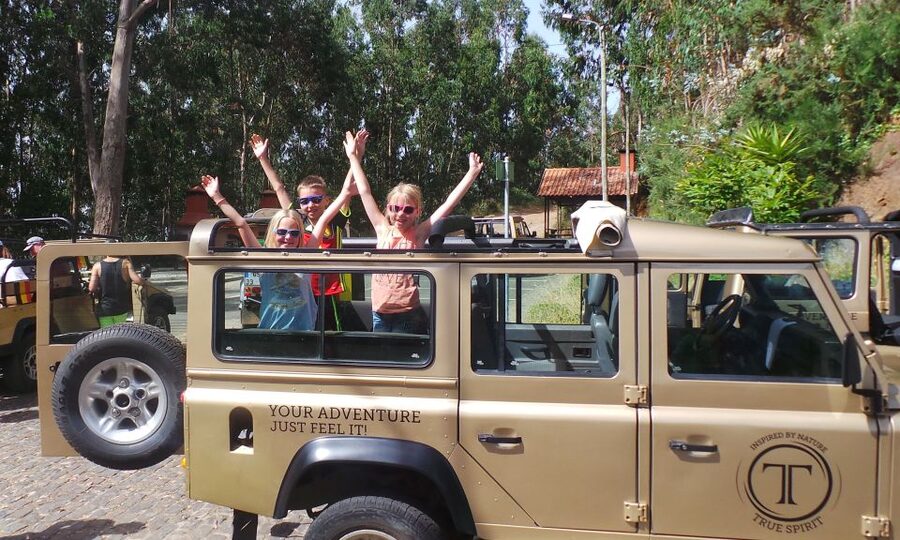Madeira: Cabo Girao, Jeep Tour Adventure and Wine Tasting - Why this half-day tour works well in Madeira