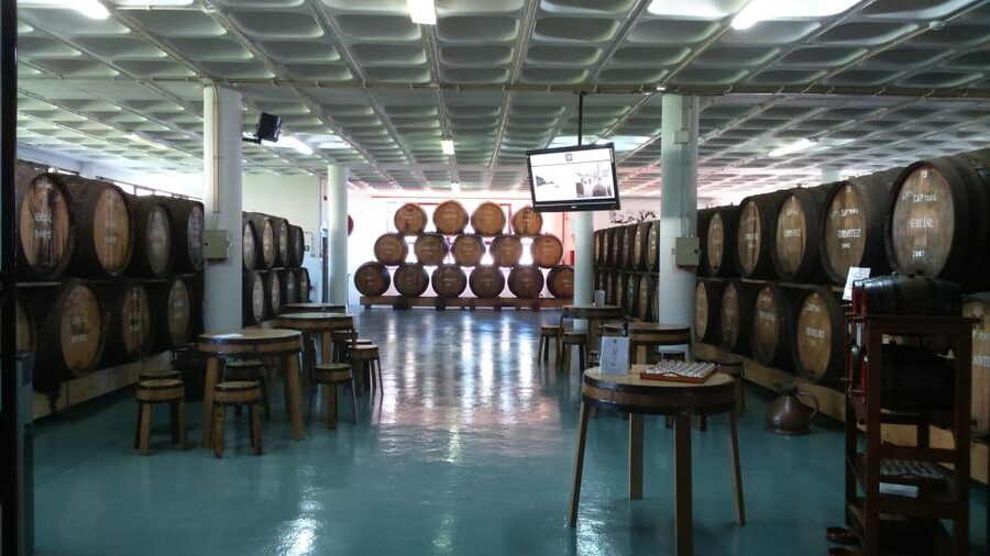 Madeira: Cabo Girao, Jeep Tour Adventure and Wine Tasting - Cabo Girão Skywalk and the €3 decision