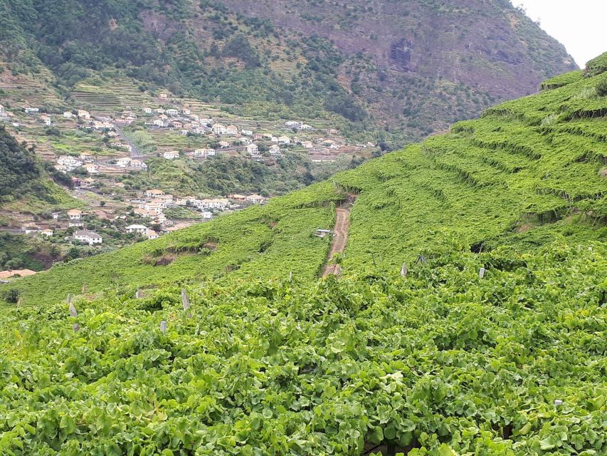 Madeira: Cabo Girão, Wine Tasting, & Serra d'Água Jeep Tour - The open-top 4x4 ride through Laurissilva forest