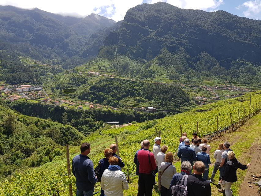 Madeira: Cabo Girão, Wines Experience and Dolphins Watching - A pause at Funchal Marina