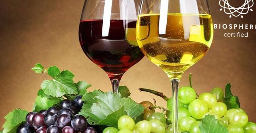 Madeira: Signature Wine Tasting, Skywalk & Nature Expedition - Honey, old tools, and a valley view