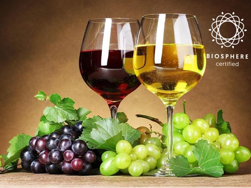Madeira: Signature Wine Tasting, Skywalk & Nature Expedition - Lunch in São Vicente is your own choice