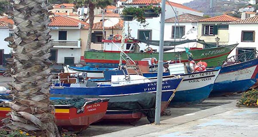 Madeira: Vineyard Tour w/ Wine Tasting & Skywalk - Who should book this experience?