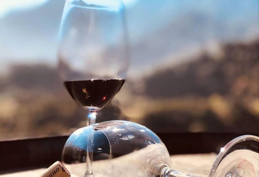 Madeira: Vineyard Tour w/ Wine Tasting & Skywalk - Is $86 a fair price?