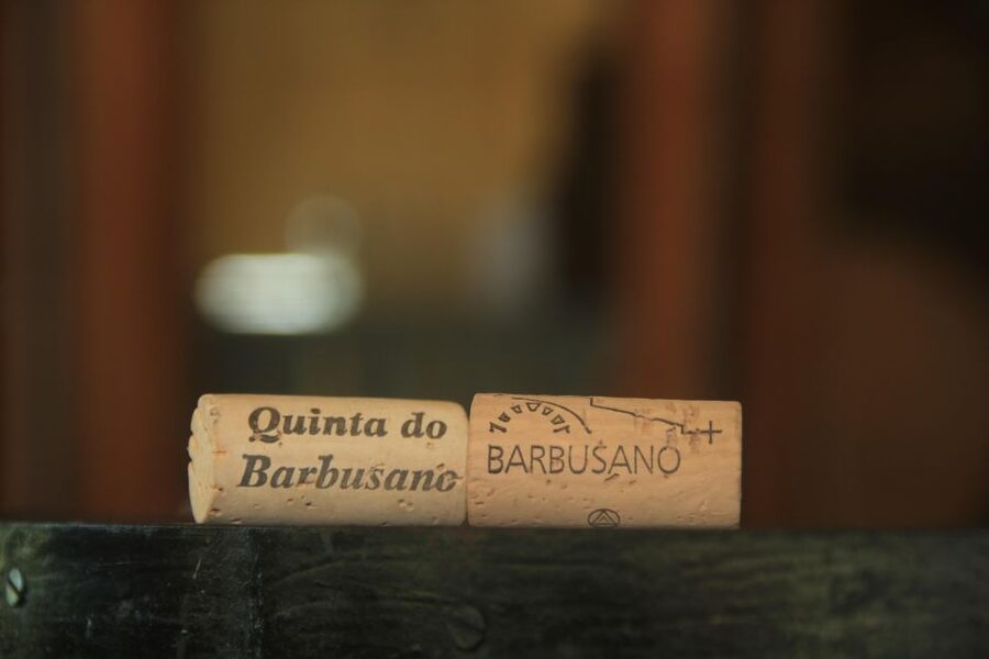 Madeira: Wine & Tapas, Cabo Girão Skywalk 4x4 Jeep Adventure - Who should book this Madeira excursion?