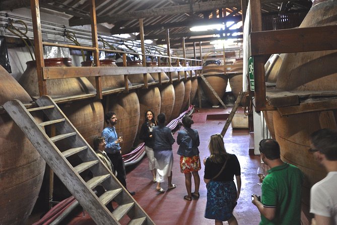Madrid Countryside Wineries Guided Tour with Wine Tasting - Key points to know before you book