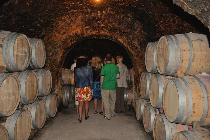 Madrid Countryside Wineries Guided Tour with Wine Tasting - What the guides add to the day