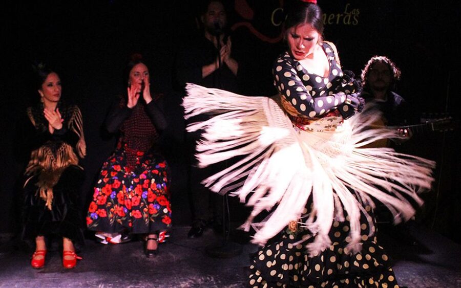 Madrid: Flamenco Show with Tapas and Wine Tour - Key points at a glance