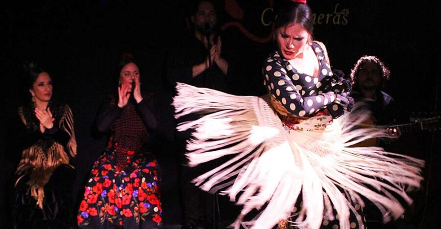 Madrid: Flamenco Show with Tapas and Wine Tour - Who should book this experience?