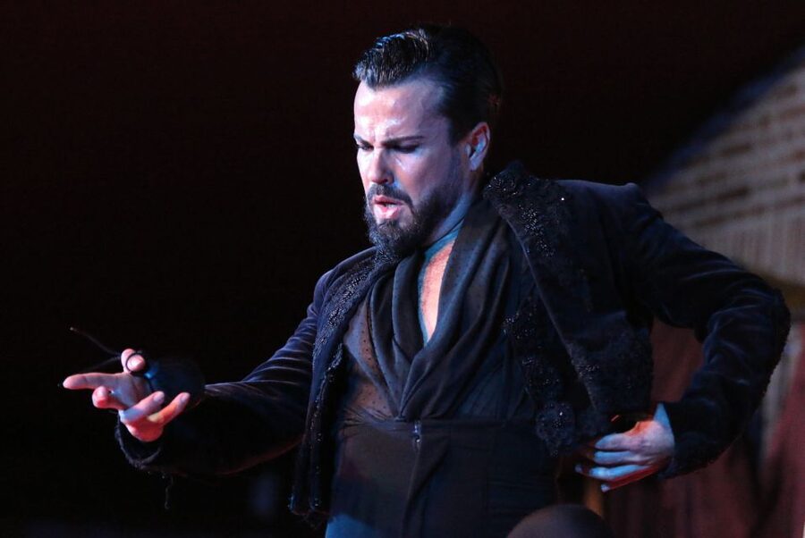 Madrid: Los Porches Flamenco Show with Tapas and Wine Ticket - Is $53 a fair price?