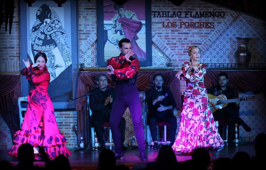 Madrid: Los Porches Flamenco Show with Tapas and Wine Ticket - Who will enjoy this experience most?