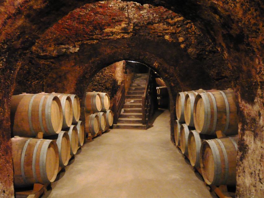 Madrid Region Wineries Guided Tour with Wine Tastings - The best reasons to consider this wine day