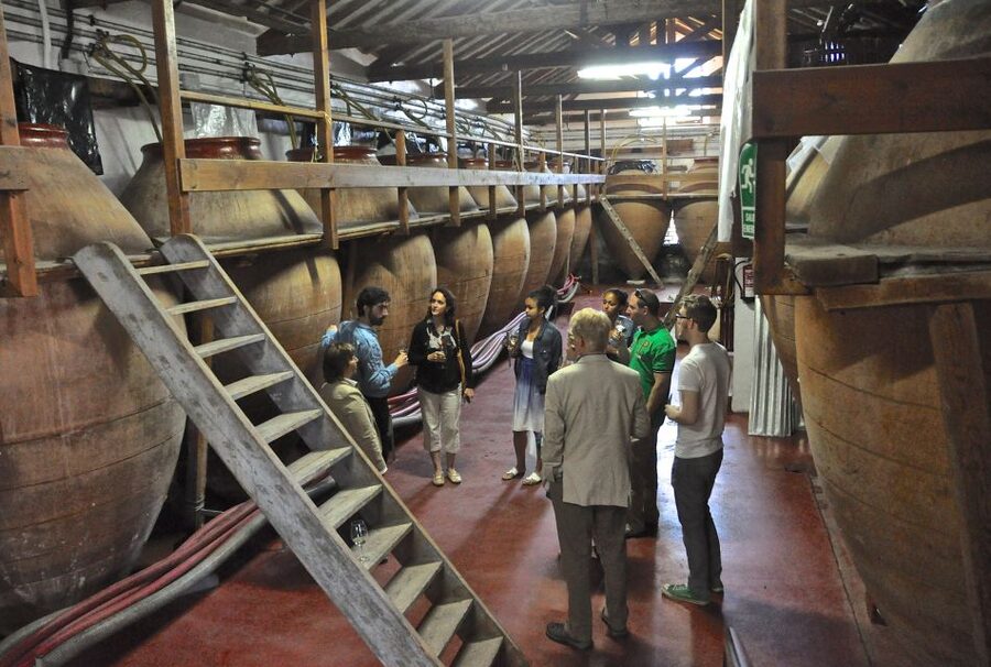 Madrid Region Wineries Guided Tour with Wine Tastings - Colmenar de Oreja and its old cellar traditions