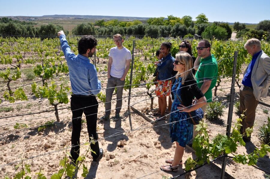 Madrid Region Wineries Guided Tour with Wine Tastings - Leaving Madrid from Conde de Casal