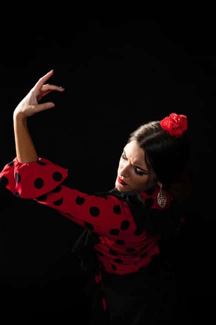 Malaga: Authentic Flamenco Dinner Show at Vino Mio - Key points to know before booking