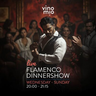 Authentic Flamenco Dinner Show at Vino Mio