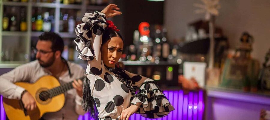 Malaga: Authentic Flamenco Dinner Show at Vino Mio - Dinner at Vino Mio: what the ticket does and does not cover