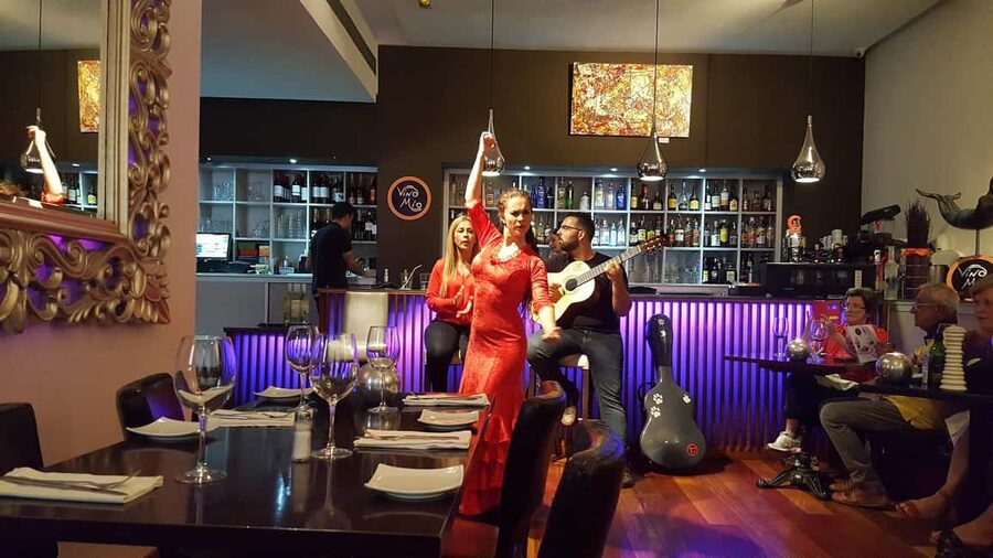 Malaga: Authentic Flamenco Dinner Show at Vino Mio - Languages, cancellations, and practical planning