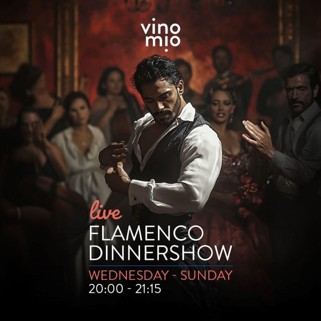 Malaga: Authentic Flamenco Dinner Show at Vino Mio - Arriving before the 8:00 PM start