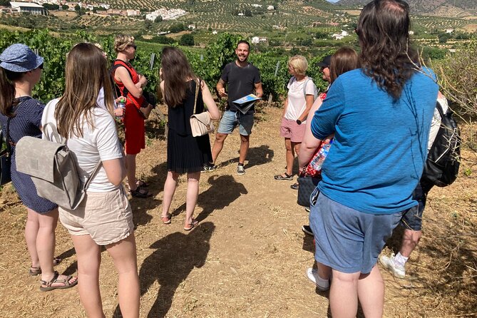 Malaga Organic Vineyard and Winery Six Wines Tapas and Transfer - Key things to know before booking