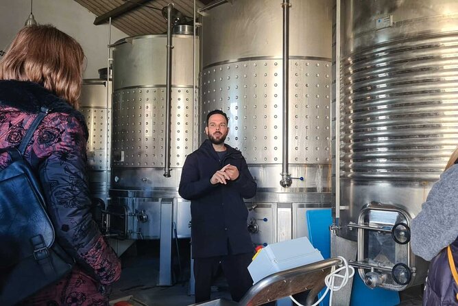 Malaga Organic Vineyard and Winery Six Wines Tapas and Transfer - Six wines, five pairings, and a full tapas spread
