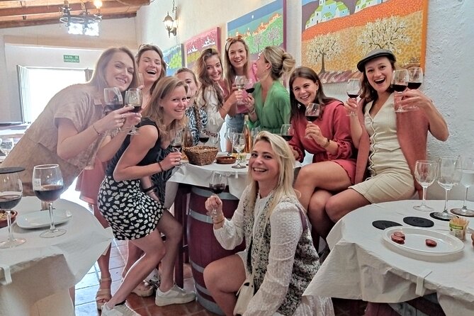 Malaga Organic Vineyard and Winery Six Wines Tapas and Transfer - The return ride and the right pace for Malaga